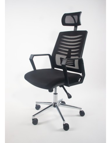 Polo Müdür Koltuğu