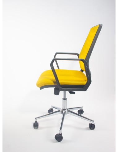 Polo Çalışma Koltuğu